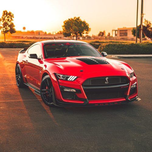 shelby mustang